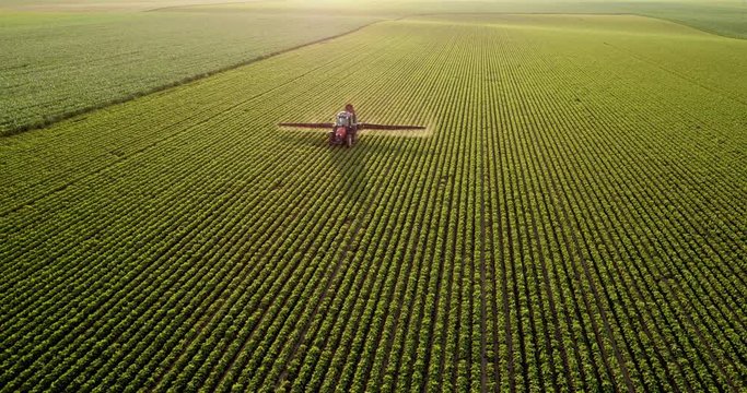 Aerial drone shot of a farmer spraying soybean fields