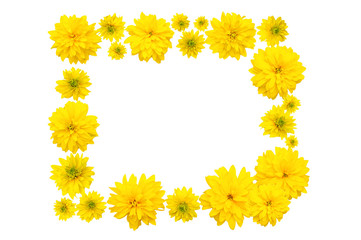Frame of yellow Heliopsis flower buds. White isolate.