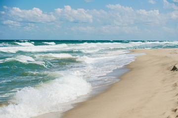 Tropical sandy beach