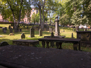 Obraz premium cemetery, old, Halifax, burial, trees, green, nature, landscape, summer, outdoors, city
