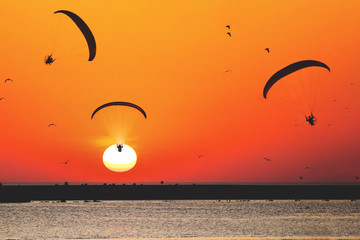 athletes fly on a paraglider over the sea against the backdrop of the setting sun