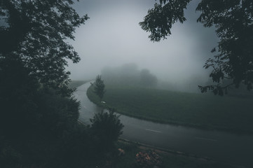 An asphalt road that goes through a misty dark misterious forest