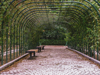 tunnel in garden