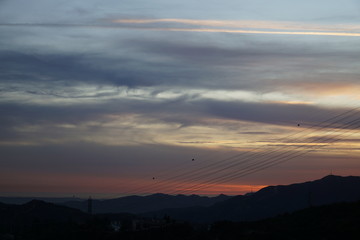 land
