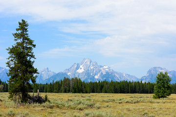Morning View of Grand Teton
