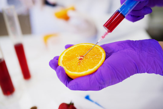 Close up of a hand in a protective glove holding orange and taking a sample from it with a syringe.