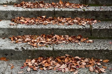 Covered with leaves
