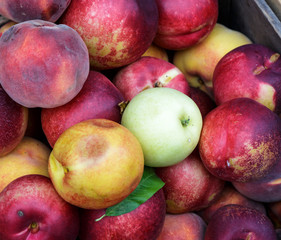 apple and peaches