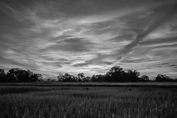 clound b/w