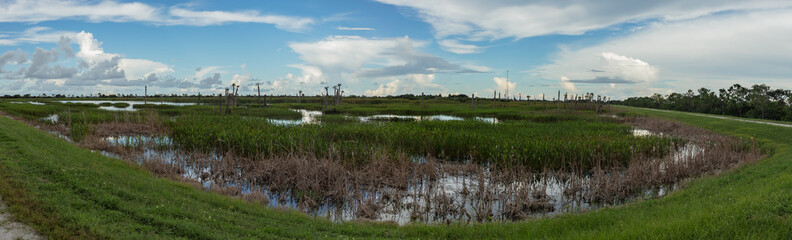 blue skies in the wetlands panorama