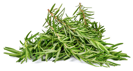 Rosemary isolated on the white background