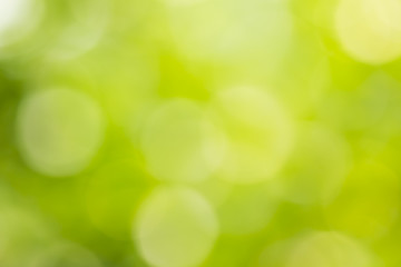 bokeh natural green blurred abstract background