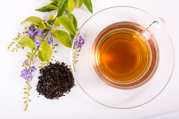 cup with tea and green leaf