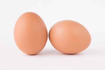 eggs on white background