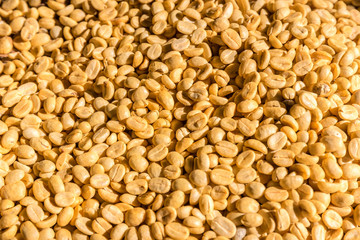 fresh coffee beans