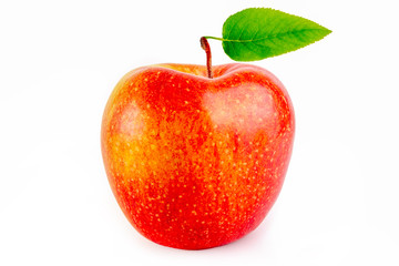 Red apple on white background