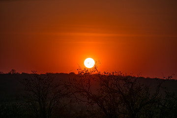 Sunset in Zambezi National Game Reserve, Zimbabwe