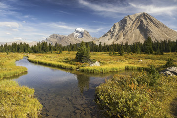 Distant Canadian Rocky Mountain Peaks Landscape and Autumn Colors Change by Red Deer River Flats in Banff National Park