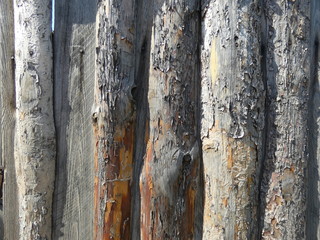 Fence of wooden boards