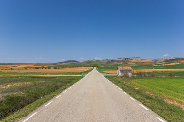 Straight road in the landscape of Castilla y Leon, Spain