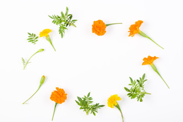 Tagetes Patula Orange, yellow flower, green leaves on white background