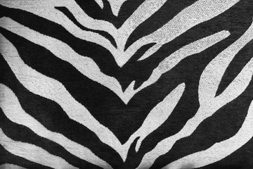 Zebra pattern. A closed up pattern details of zebra texture of an old sofa. Texture and background usage.