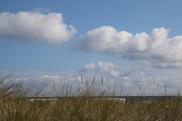 Fototapeta premium Schöner Blick zwischen den Dünen aufs Meer