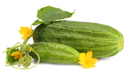 Cucumbers isolated on white background