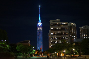 Fototapeta na wymiar 福岡西区　夜景都市風景