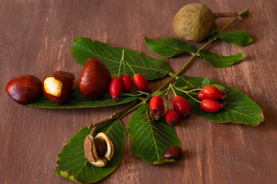 Bastelidee Kindergarten Jas Knutselen Grundschule Jozef Religionsunterricht Onderwijs Kinderdienst Religieus Kindergottesdienst Sonntagsschule Godsdienst Vierkantje Elk Gemaakt Josef Zondagsschool Gemeenschap Creatief Basisschool Lesgeven
