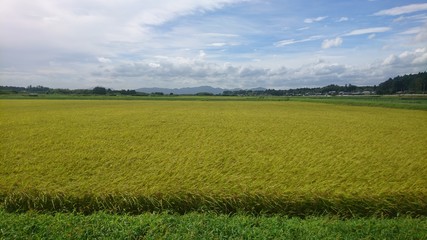 日本　田舎　田園3