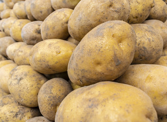 Potatoes closeup view