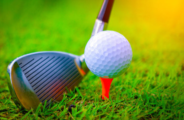 Golf ball and golf clubs on the Course. Golf ball on Orange tee. They are prepare to shot. Photo for health and game. 