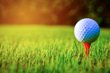 Golf ball on the Course. Golf ball on Orange tee. They are prepare to shot. Photo for health and game. 