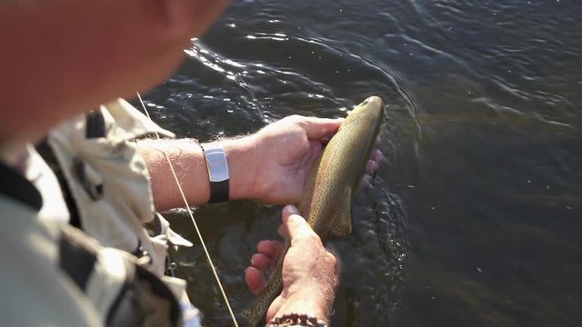 Fly fisherman catching rainbow trout in river