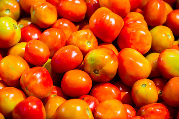 A pile of tomatoes. Summer tray market agriculture farm full of organic tomatoes. Fresh tomatoes.use for background or wallpaper. Delicious red tomatoes. selective focus.