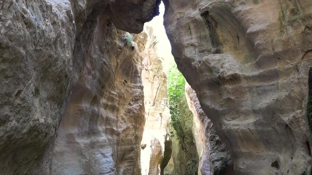 Gorge of the mountain on a summer day. Travel to the highlands. Adventure, recreation, vacation