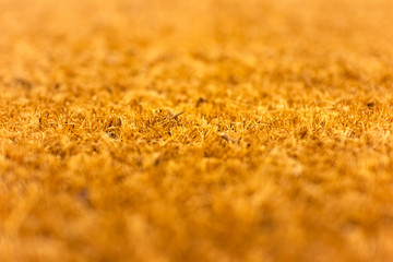 Texture closeup of cut fibers of wicker mat, focus with shallow depth of field, blurred background