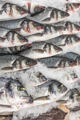 Frozen fish on ice. Various fresh fish with heads on the counter in the market, vertical background.