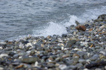 stones in water wave