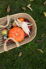 Wicker Basket filled with autumnal Vegetables and Fruits, Thanksgiving