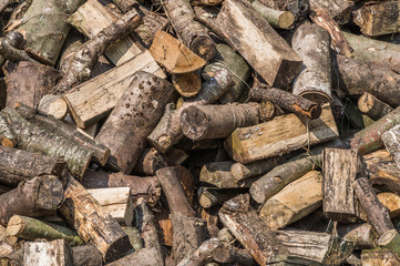 Brennholzstapel mit verschiedenen Holzsorten. Vorbereitung auf den Winter. Gehacktes Kaminholz auf einem Stapel.
