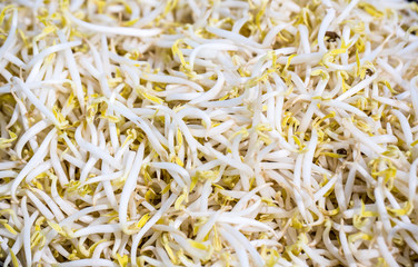 Pile of bean sprouts . soybean sprouts on white background. 