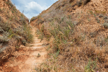 path near the high sea shore, beautiful coastal landscape, travel concept