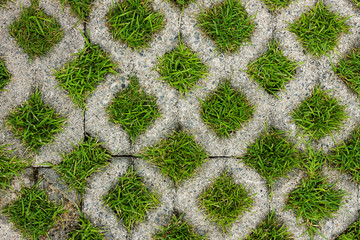 Cement block with grass