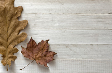 Obraz premium Autumn leaves on wooden textured boards background