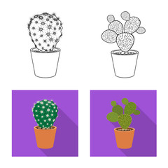 Isolated object of cactus and pot sign. Set of cactus and cacti stock symbol for web.