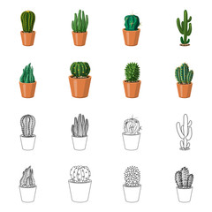 Isolated object of cactus and pot logo. Set of cactus and cacti stock symbol for web.