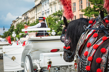 Horse carriages at main square in Krakow in a summer day, Poland
