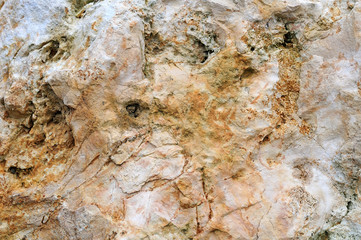 close-up of a limestone rock